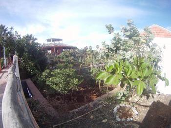 Villa Morgana Cape Verde Resort Calheta Εξωτερικό φωτογραφία